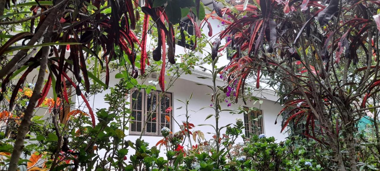 Le Farmhouse Munnar Anachal Bagian luar foto