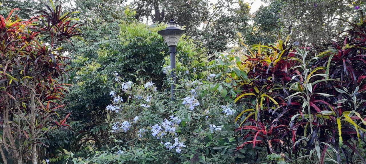 Le Farmhouse Munnar Anachal Bagian luar foto