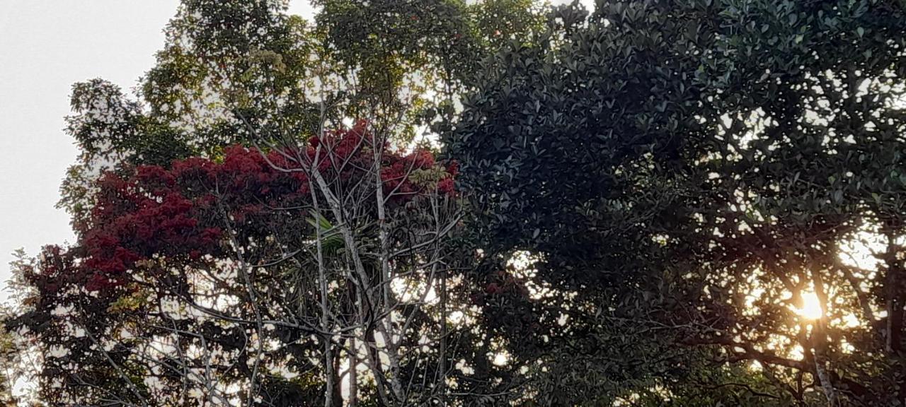 Le Farmhouse Munnar Anachal Bagian luar foto
