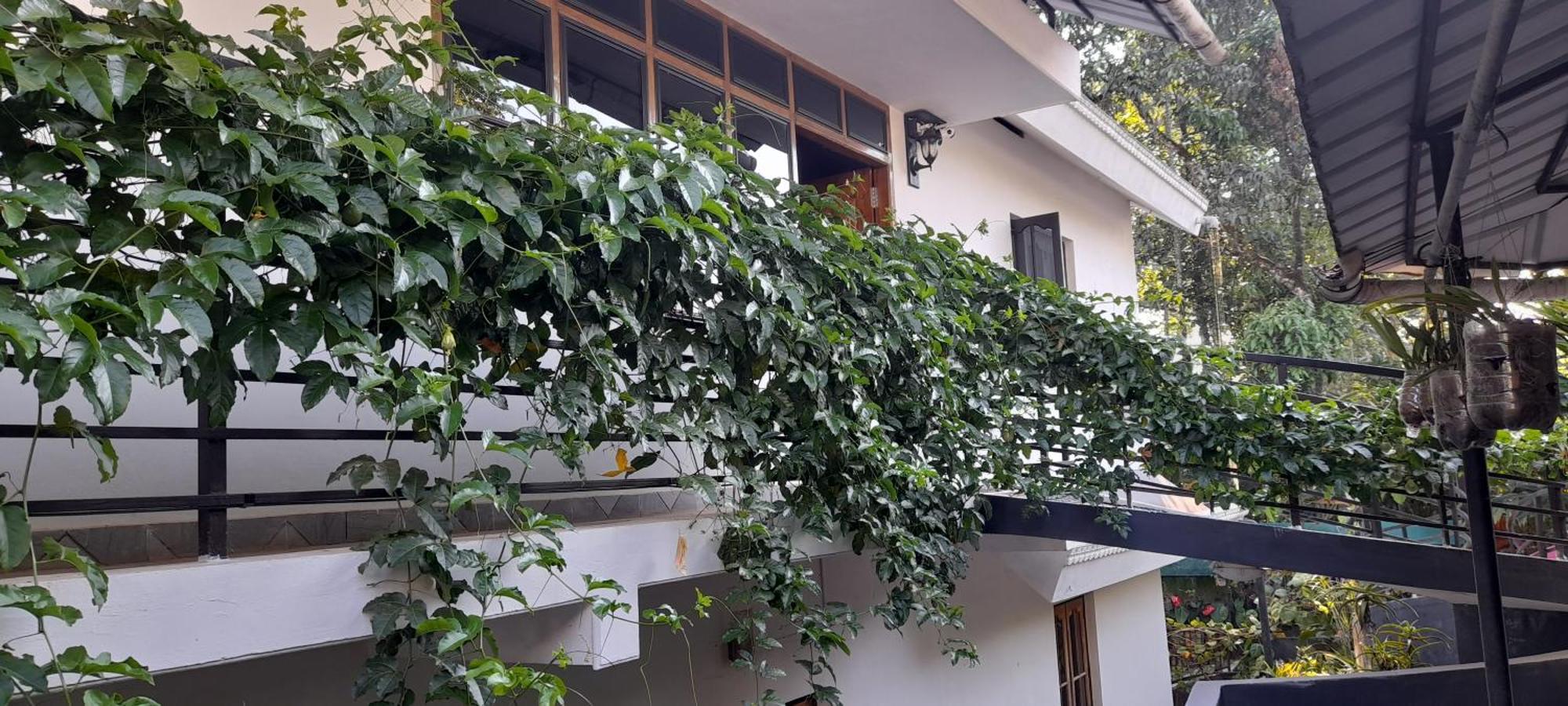 Le Farmhouse Munnar Anachal Bagian luar foto