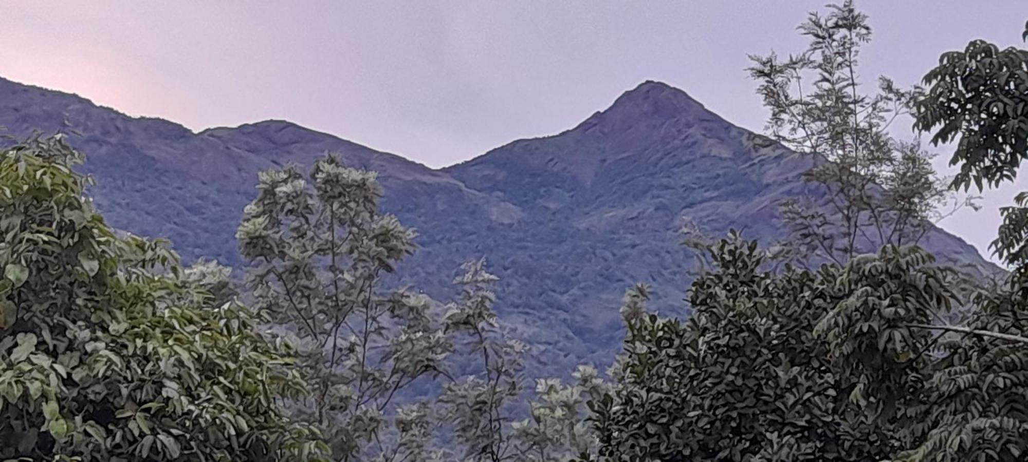 Le Farmhouse Munnar Anachal Bagian luar foto