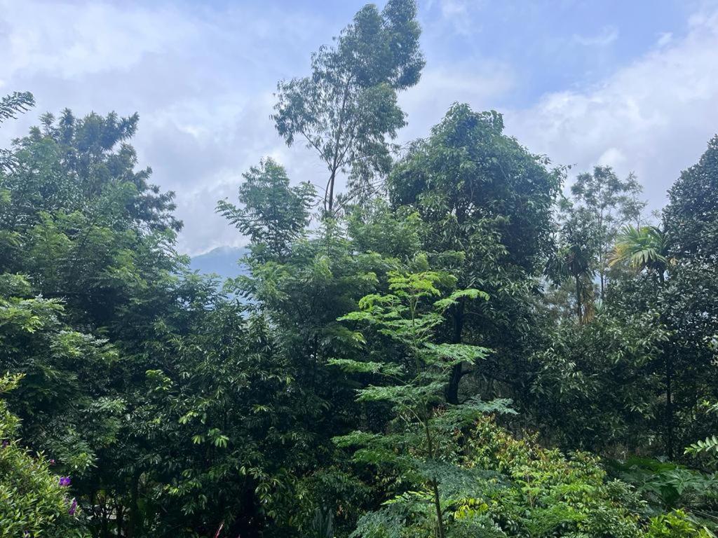 Le Farmhouse Munnar Anachal Bagian luar foto