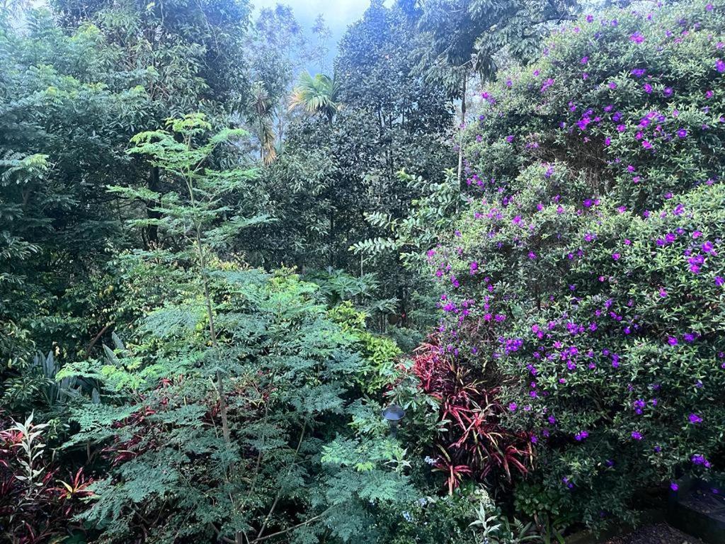 Le Farmhouse Munnar Anachal Bagian luar foto